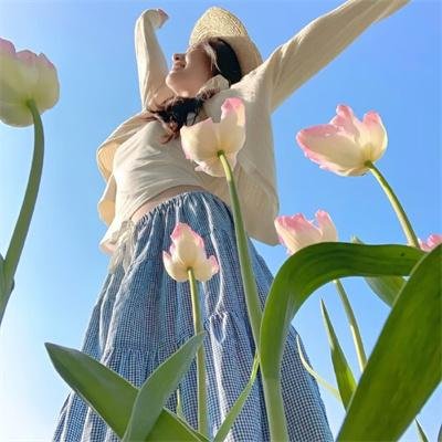 总统千金欧游记 海报
